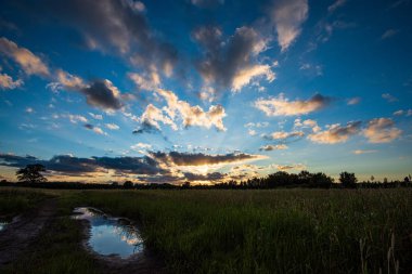 ağaçlar ve alanlar üzerinde gökyüzünde dramatik kırmızı günbatımı renkleri