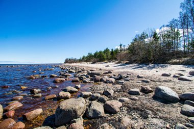 beyaz kum, büyük kayalar ve eski ahşap ile yalnız boş deniz Plajı
