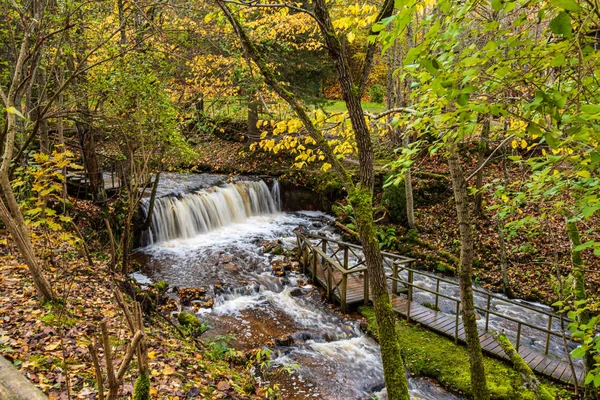 Klidná Lesní řeka skrývající se za větvemi — Stock fotografie