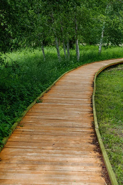 Hermosa pasarela de madera camino de tablón en pasto verde — Foto de Stock