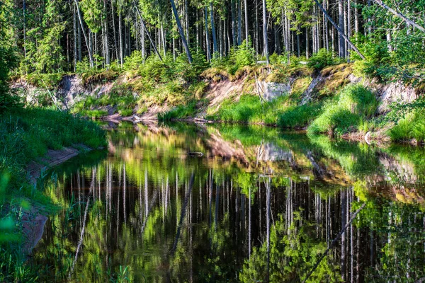 Vacker skog flod i Lettland på sommaren — Stockfoto