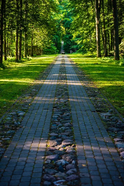 Pitoresca trilha turística bonita trilha na floresta verde — Fotografia de Stock