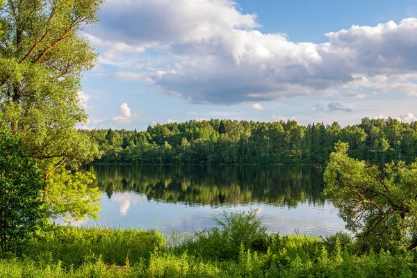 Mooie avond bij het meer met zon in de bomen — Stockfoto