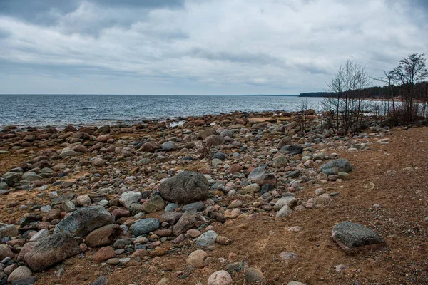 Magányos üres tengeri strand, fehér homok, nagy sziklák és a régi fa — Stock Fotó