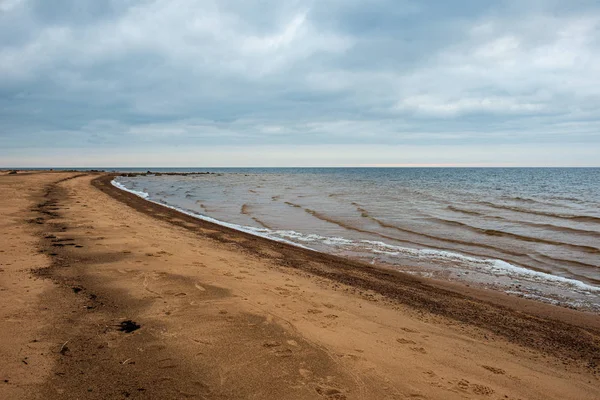 Magányos üres tengeri strand, fehér homok, nagy sziklák és a régi fa — Stock Fotó