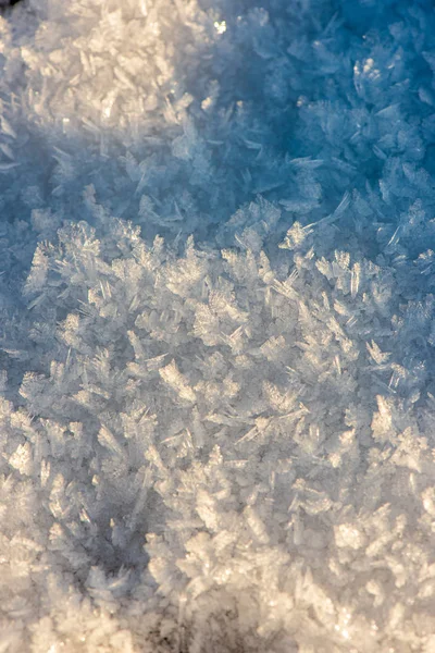 Flocons de neige gelés près — Photo