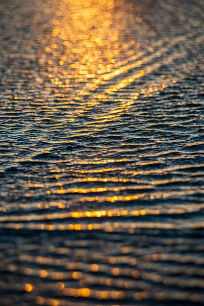sunset light reflection in the beach wet sand and water