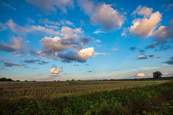 Dramatische rote Sonnenuntergangsfarben am Himmel über Bäumen und Feldern — Stockfoto