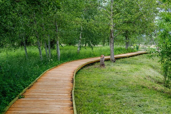 Красивая деревянная дорожка на зеленом пастбище — стоковое фото
