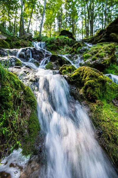 Foresta fiume di montagna con cascata sulle rocce — Foto Stock