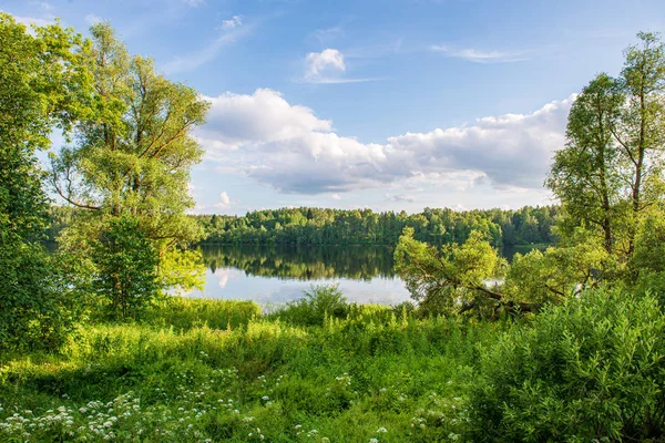 ağaçların içinde güneş ile göl güzel akşam
