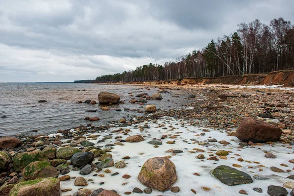 Eenzame lege zee strand met wit zand, grote rotsen en oud hout — Stockfoto