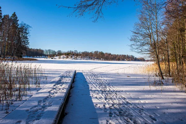 Bevroren Lake Shore in de winter platteland — Stockfoto