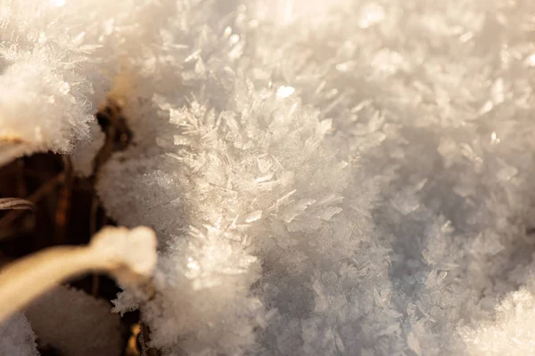 Κατεψυγμένα νιφάδες χιονιού κοντά — Φωτογραφία Αρχείου
