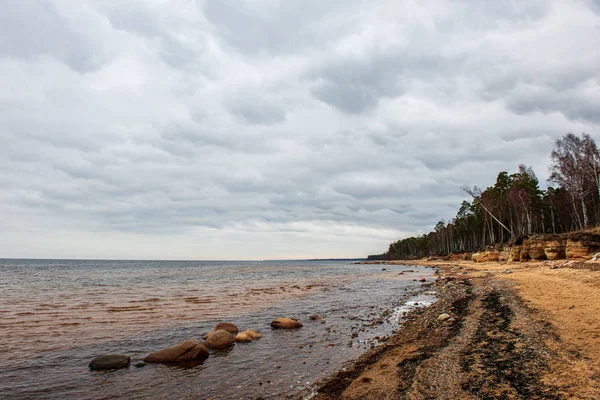 Magányos üres tengeri strand, fehér homok, nagy sziklák és a régi fa — Stock Fotó