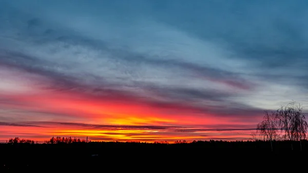 Dramatische rote Sonnenuntergangsfarben am Himmel über Bäumen und Feldern — Stockfoto