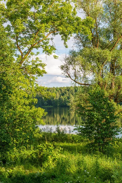 Bela noite junto ao lago com sol nas árvores — Fotografia de Stock