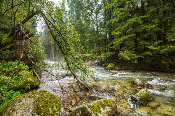 Rychlá horská řeka s horským zálivem — Stock fotografie