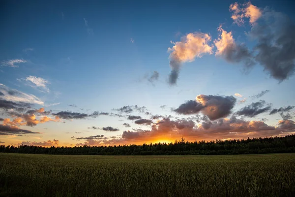 Dramatique coucher de soleil rouge couleurs dans le ciel au-dessus des arbres et des champs — Photo