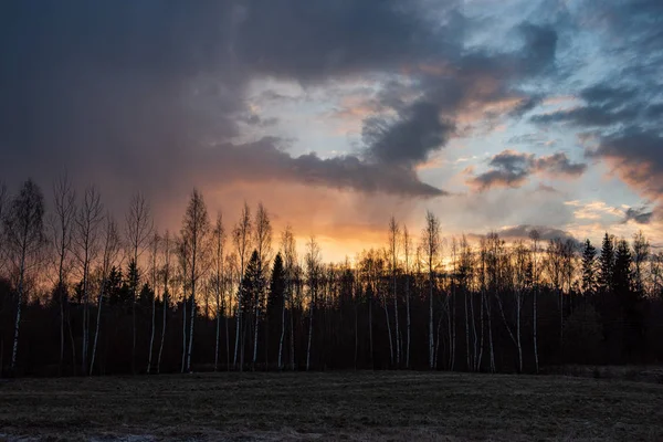 木や野原の上空の劇的な赤い夕焼け色 — ストック写真
