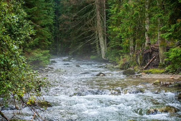 岩の中に湾を持つ高速な山の川 — ストック写真