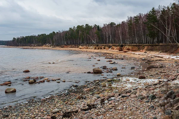 Magányos üres tengeri strand, fehér homok, nagy sziklák és a régi fa — Stock Fotó