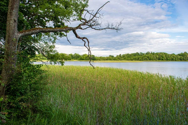 Calm countryside lake river with cloud reflections in water and — Stock Photo, Image