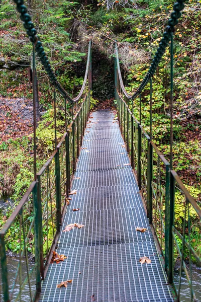 Старый металлический мост через реку в осеннем лесу — стоковое фото