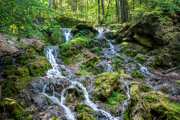 Kayalar üzerinde şelale ile orman dağ Nehri — Stok fotoğraf