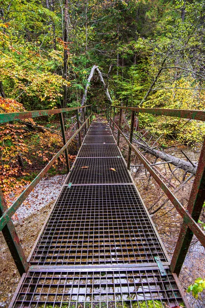 Viejo puente de metal sobre el río en el bosque de otoño —  Fotos de Stock