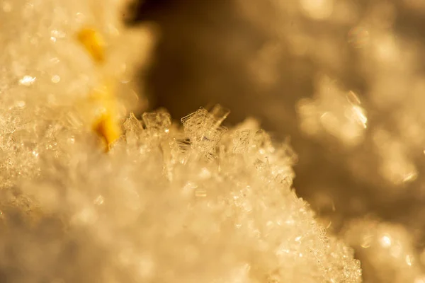 Flocons de neige gelés près — Photo