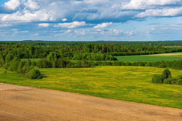 Green meadow under blue sky in countryside — Stock Photo, Image