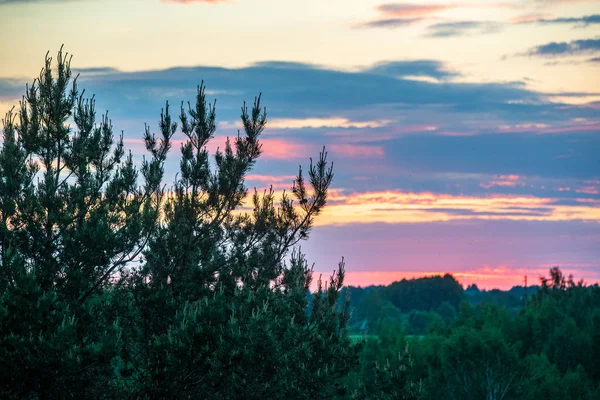 Dramatic red sunset colors in the sky above trees and fields — Stock Photo, Image