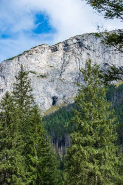 güneşli bir günde Slovakya'daki tatra dağlarının panoramik manzarası 