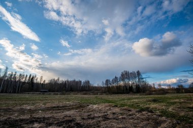 Mavi gökyüzü ve dramatik beyaz bulutlar altında kırsal alan
