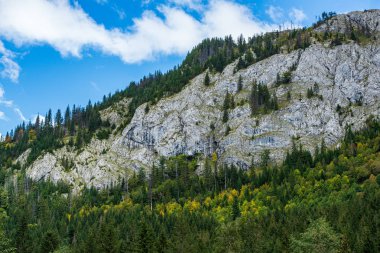 güneşli bir günde Slovakya'daki tatra dağlarının panoramik manzarası 