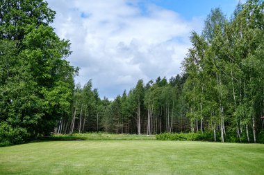yaz aylarında yeşil çayırlar ve ağaçlar ile yeşil kırsal sahne