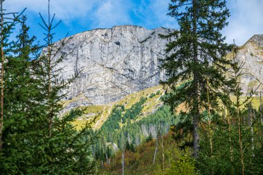 güneşli bir günde Slovakya'daki tatra dağlarının panoramik manzarası 