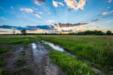 ilkbaharda basit kırsal kir yol