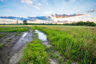 ilkbaharda basit kırsal kir yol