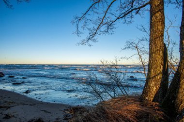 Beyaz kum ve mavi suyla rüzgarlı deniz plajı