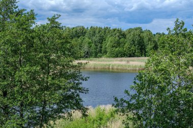 su ağaç yansımaları ile yaz yeşil kıyılarında nehir
