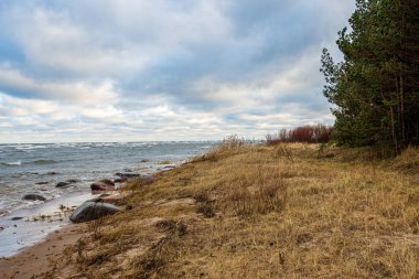 Beyaz kum ve mavi suyla rüzgarlı deniz plajı