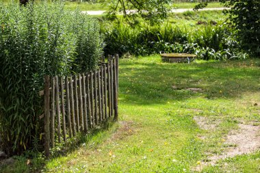 yeşil çayır ve sera ile güneşli kırsal bahçe