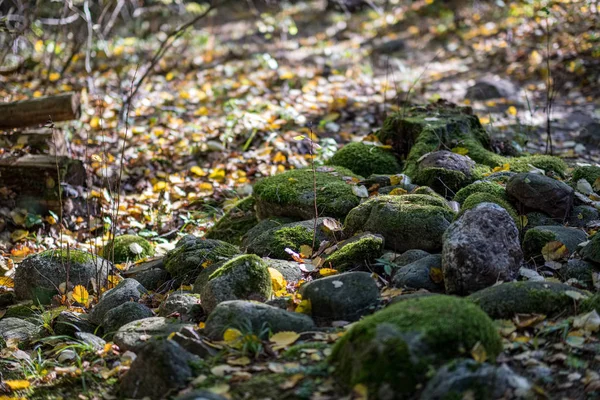 Kırsal kum büyük kaya — Stok fotoğraf