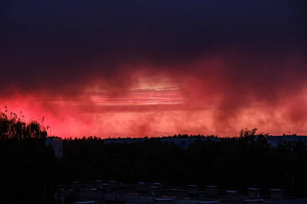 Dramatické Rudé mraky, mlha nad stromy při západu slunce — Stock fotografie