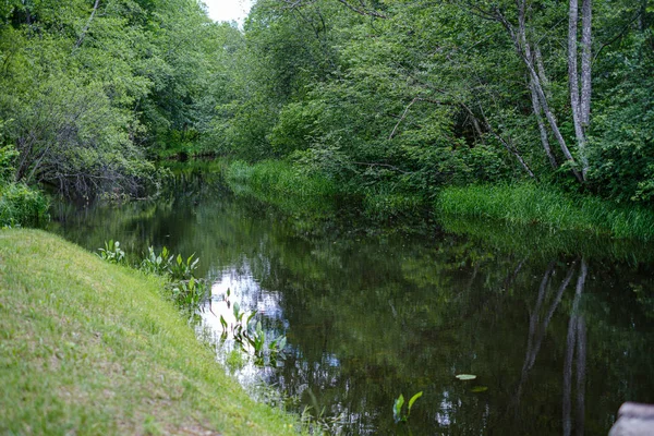 Fiume in estate sponde verdi con riflessi arborei in acqua — Foto Stock