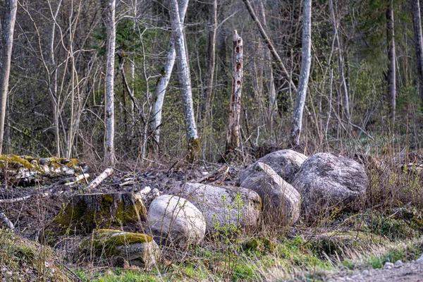 Grote rots in zand op het platteland — Stockfoto