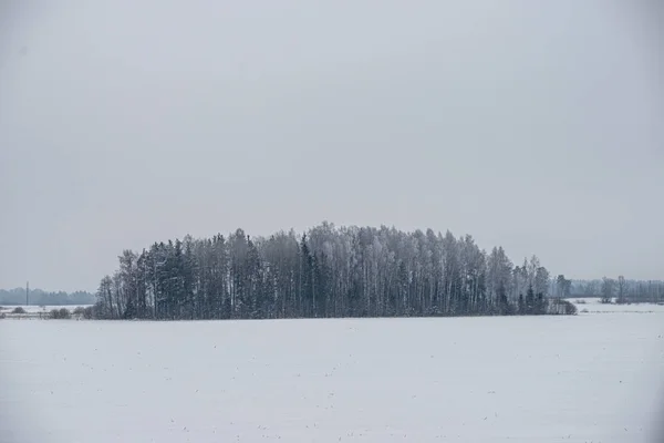 薄暗い冬の日の湖の凍った氷の断片 — ストック写真