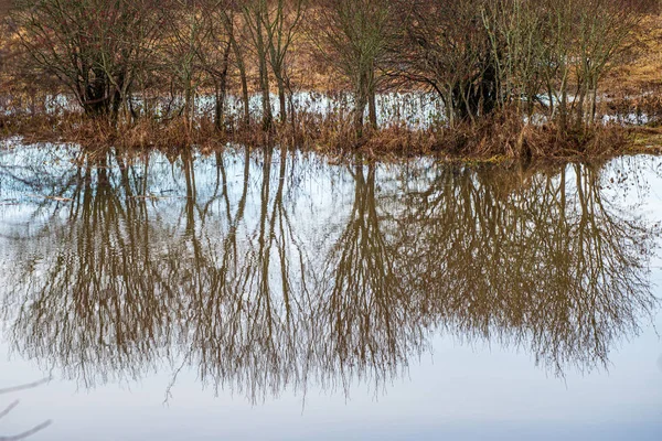 Río en verano orillas verdes con reflejos de árboles en el agua —  Fotos de Stock